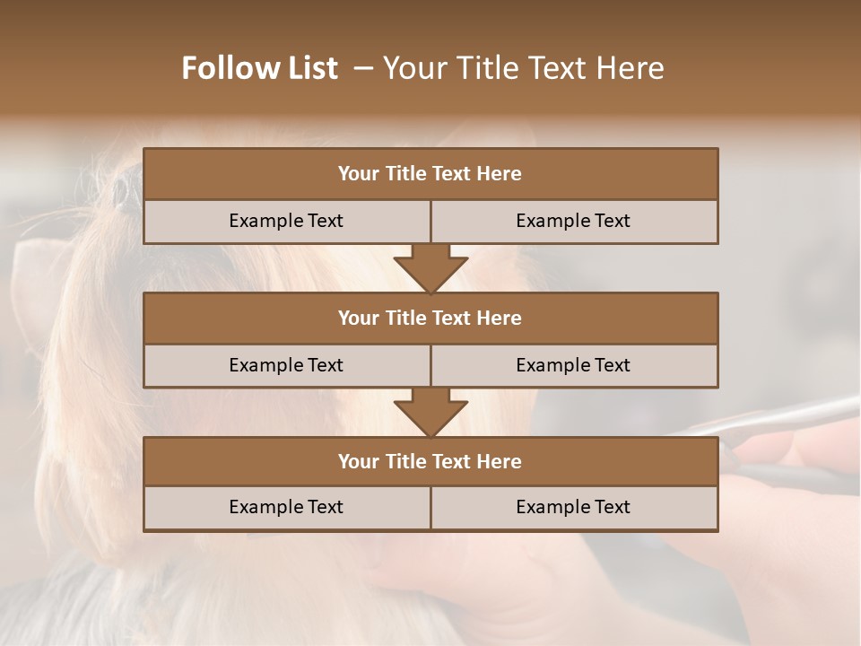 A Person Cutting A Dog's Hair With A Pair Of Scissors PowerPoint Template