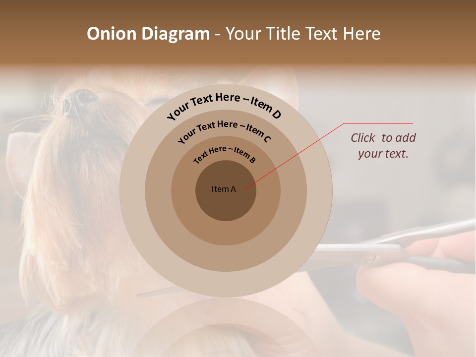 A Person Cutting A Dog's Hair With A Pair Of Scissors PowerPoint Template