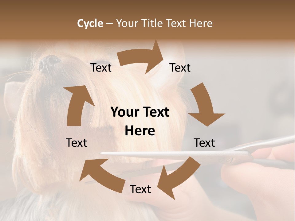 A Person Cutting A Dog's Hair With A Pair Of Scissors PowerPoint Template