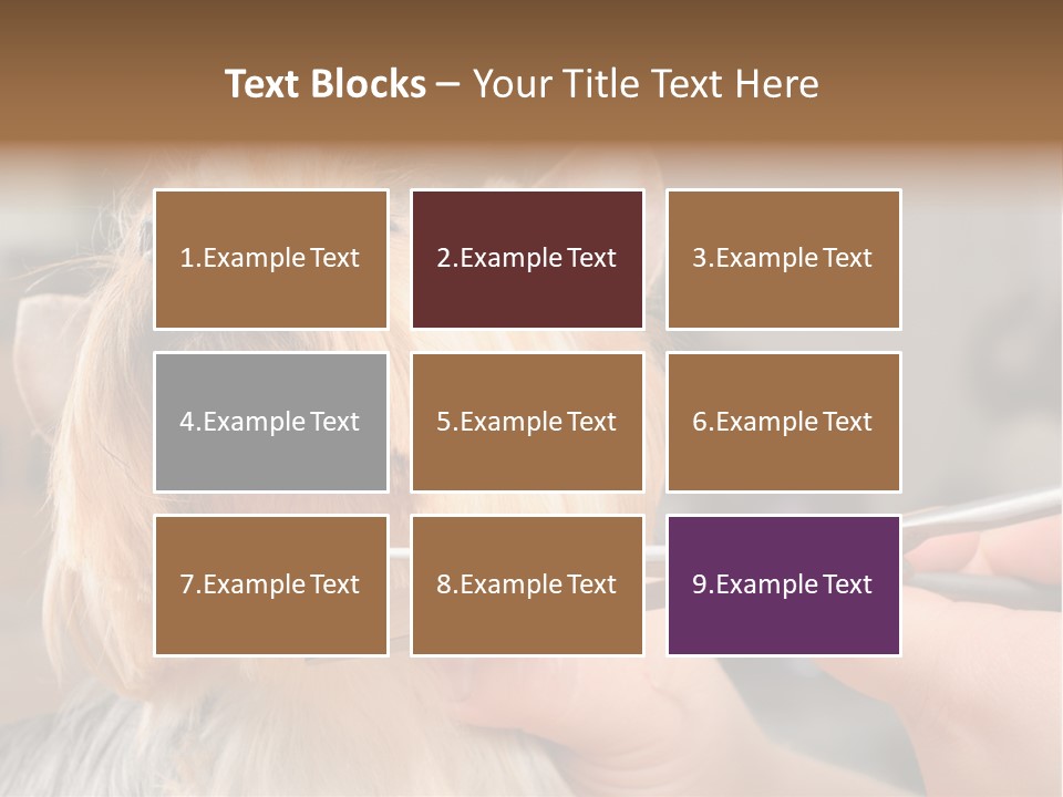 A Person Cutting A Dog's Hair With A Pair Of Scissors PowerPoint Template