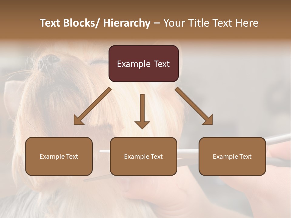 A Person Cutting A Dog's Hair With A Pair Of Scissors PowerPoint Template