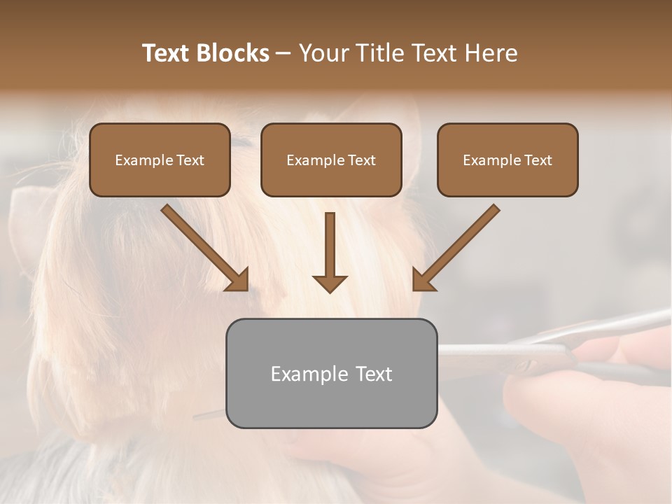 A Person Cutting A Dog's Hair With A Pair Of Scissors PowerPoint Template