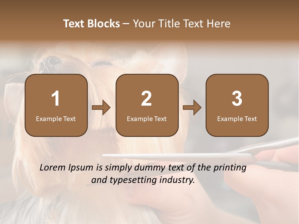 A Person Cutting A Dog's Hair With A Pair Of Scissors PowerPoint Template