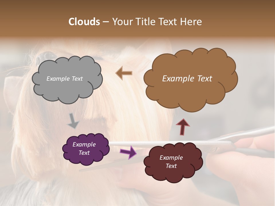 A Person Cutting A Dog's Hair With A Pair Of Scissors PowerPoint Template