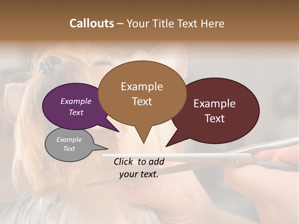 A Person Cutting A Dog's Hair With A Pair Of Scissors PowerPoint Template