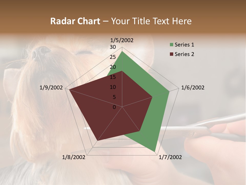 A Person Cutting A Dog's Hair With A Pair Of Scissors PowerPoint Template
