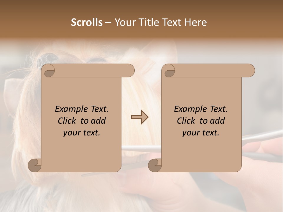 A Person Cutting A Dog's Hair With A Pair Of Scissors PowerPoint Template
