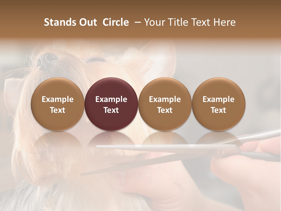 A Person Cutting A Dog's Hair With A Pair Of Scissors PowerPoint Template