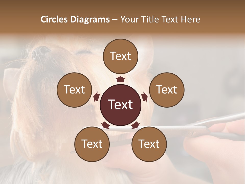 A Person Cutting A Dog's Hair With A Pair Of Scissors PowerPoint Template