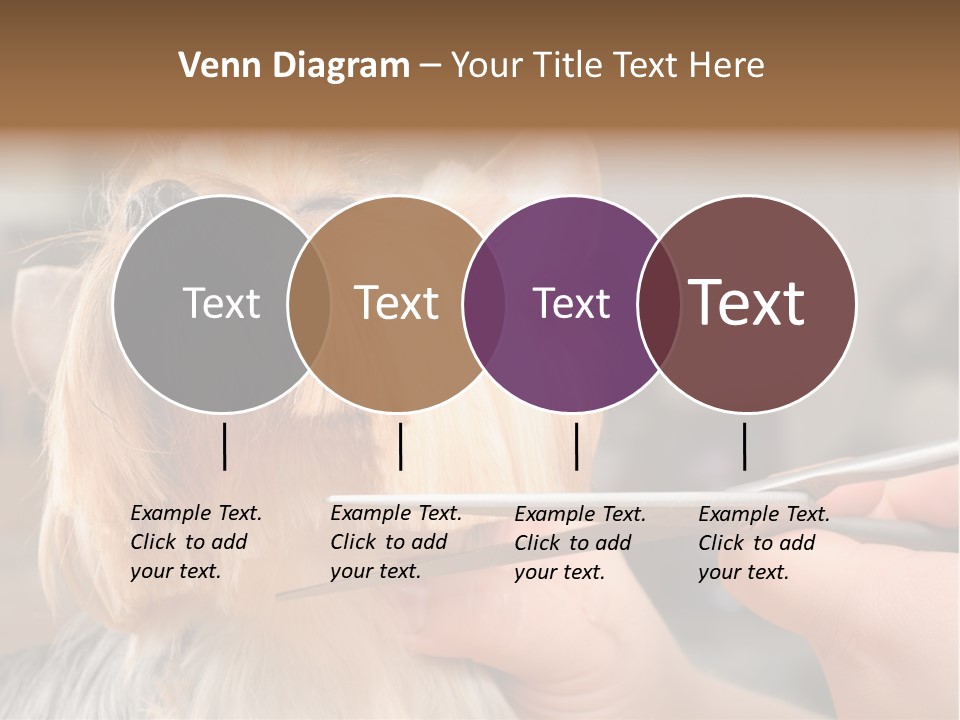 A Person Cutting A Dog's Hair With A Pair Of Scissors PowerPoint Template