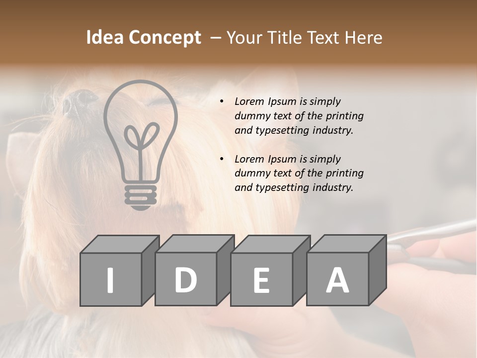 A Person Cutting A Dog's Hair With A Pair Of Scissors PowerPoint Template