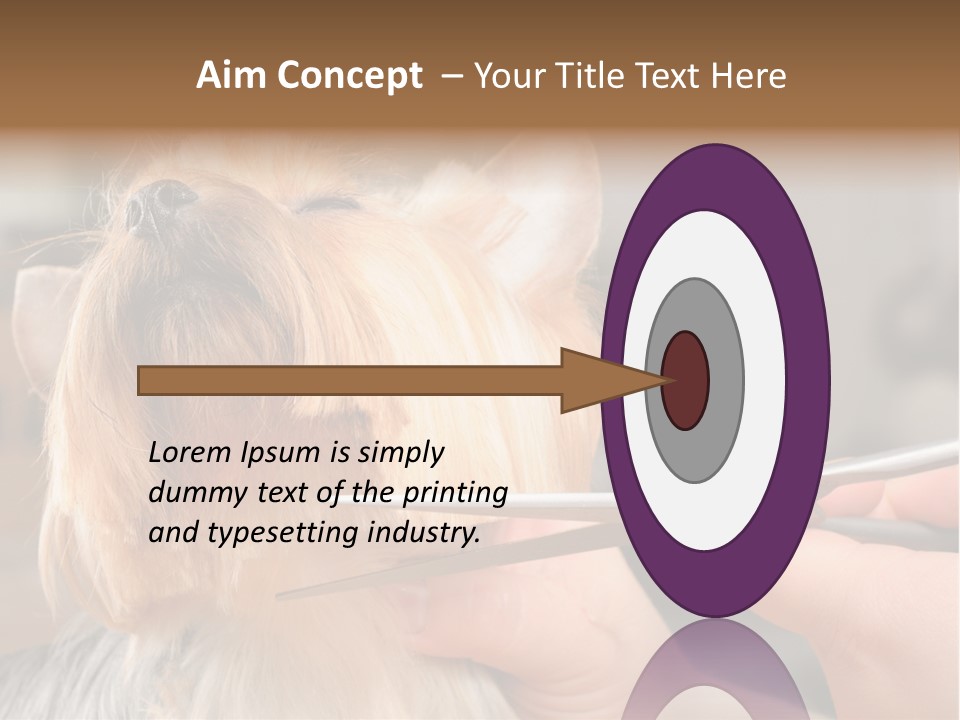 A Person Cutting A Dog's Hair With A Pair Of Scissors PowerPoint Template