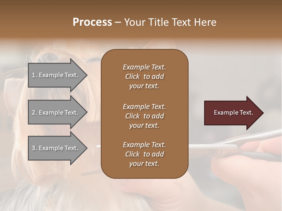 A Person Cutting A Dog's Hair With A Pair Of Scissors PowerPoint Template