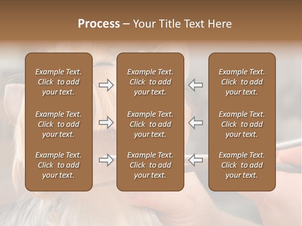 A Person Cutting A Dog's Hair With A Pair Of Scissors PowerPoint Template