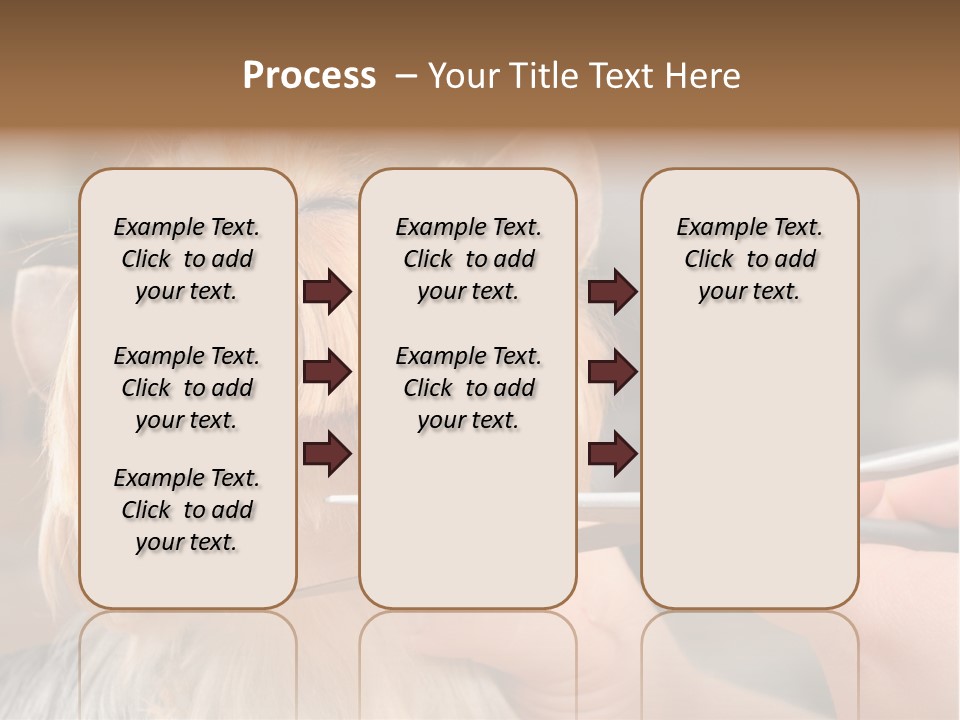 A Person Cutting A Dog's Hair With A Pair Of Scissors PowerPoint Template