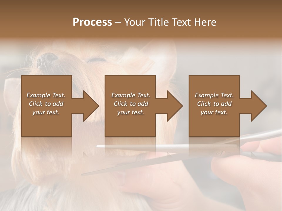 A Person Cutting A Dog's Hair With A Pair Of Scissors PowerPoint Template