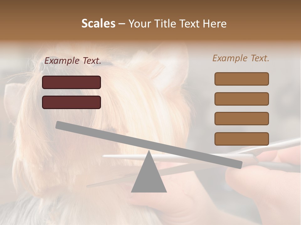 A Person Cutting A Dog's Hair With A Pair Of Scissors PowerPoint Template