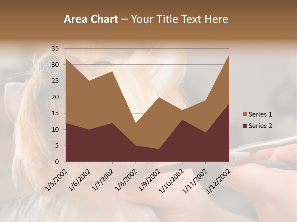 A Person Cutting A Dog's Hair With A Pair Of Scissors PowerPoint Template