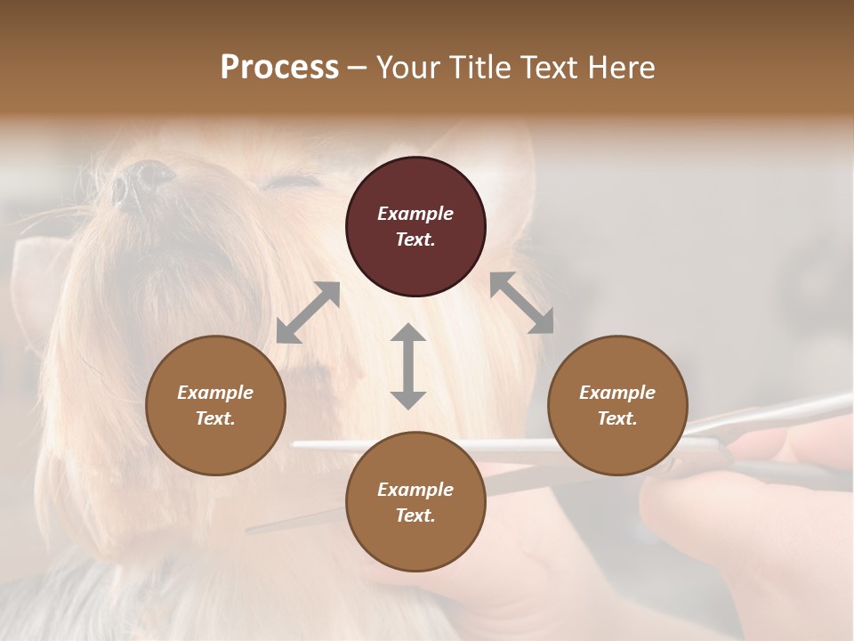 A Person Cutting A Dog's Hair With A Pair Of Scissors PowerPoint Template