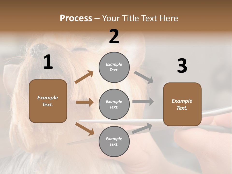 A Person Cutting A Dog's Hair With A Pair Of Scissors PowerPoint Template