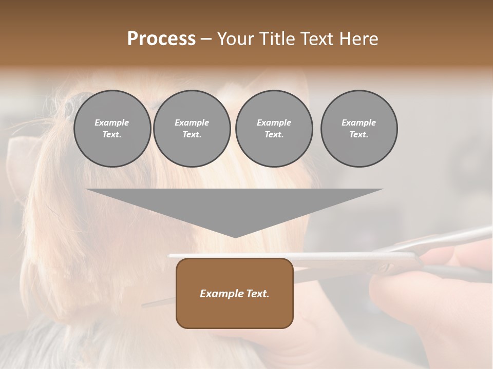 A Person Cutting A Dog's Hair With A Pair Of Scissors PowerPoint Template