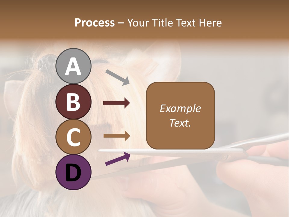 A Person Cutting A Dog's Hair With A Pair Of Scissors PowerPoint Template