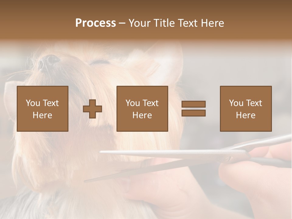 A Person Cutting A Dog's Hair With A Pair Of Scissors PowerPoint Template