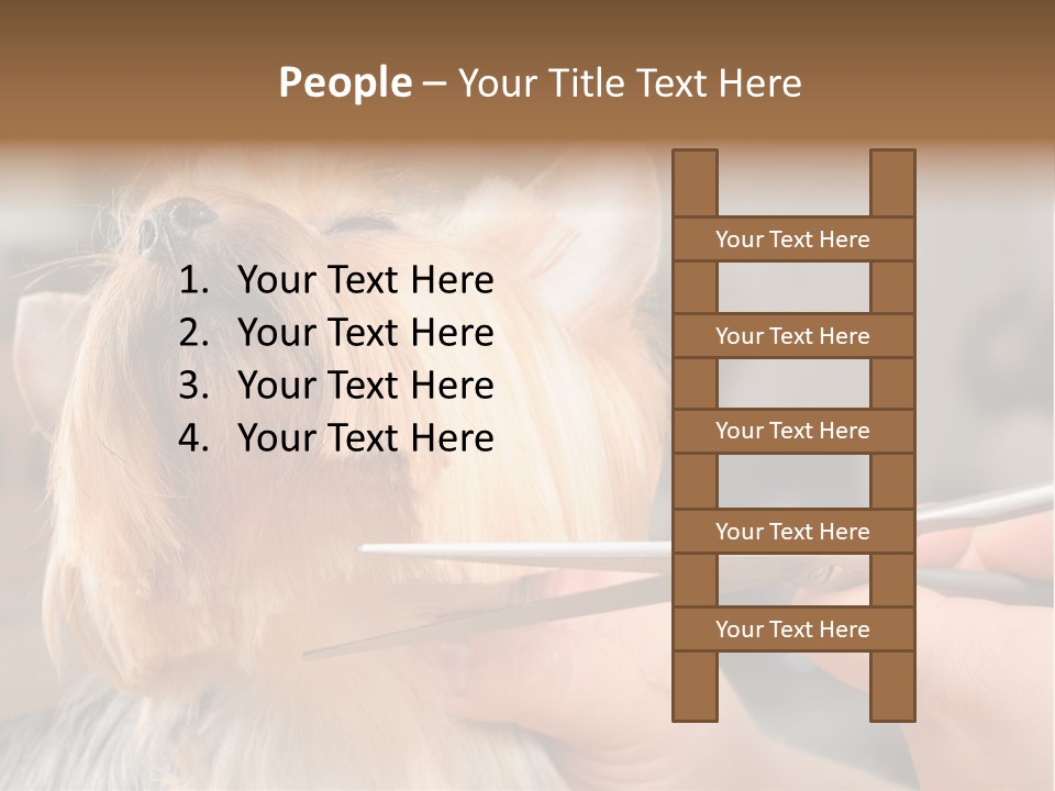 A Person Cutting A Dog's Hair With A Pair Of Scissors PowerPoint Template