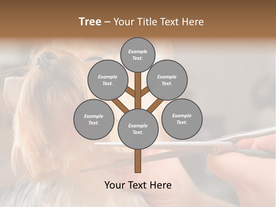 A Person Cutting A Dog's Hair With A Pair Of Scissors PowerPoint Template