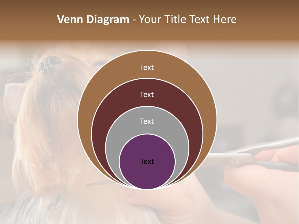 A Person Cutting A Dog's Hair With A Pair Of Scissors PowerPoint Template