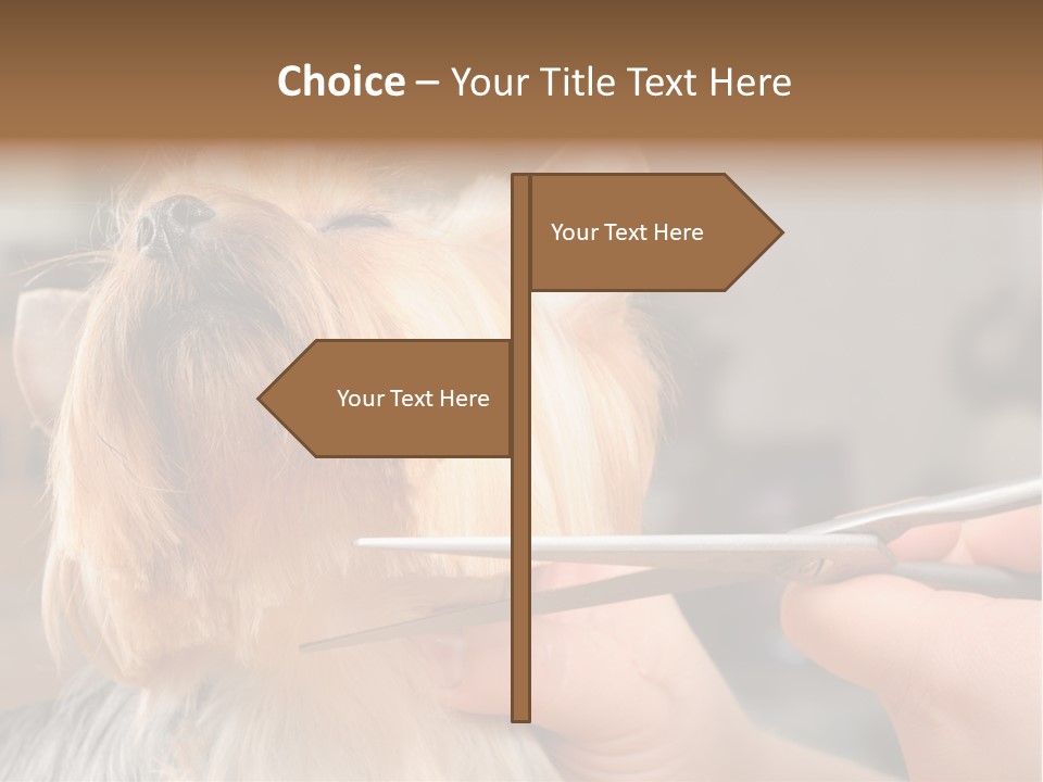 A Person Cutting A Dog's Hair With A Pair Of Scissors PowerPoint Template