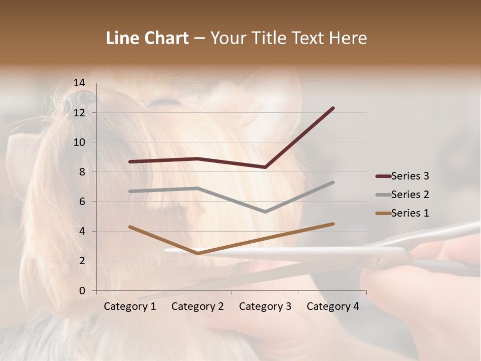 A Person Cutting A Dog's Hair With A Pair Of Scissors PowerPoint Template