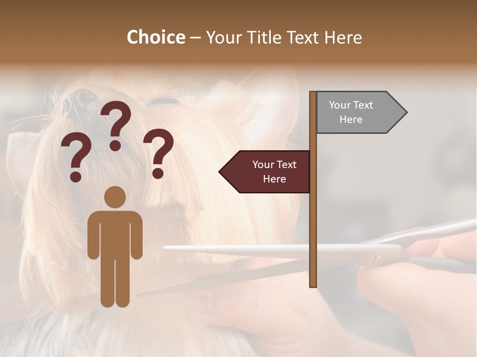 A Person Cutting A Dog's Hair With A Pair Of Scissors PowerPoint Template