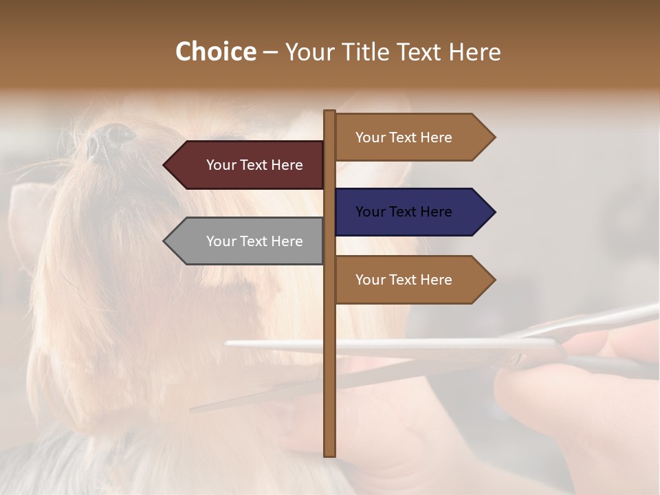 A Person Cutting A Dog's Hair With A Pair Of Scissors PowerPoint Template