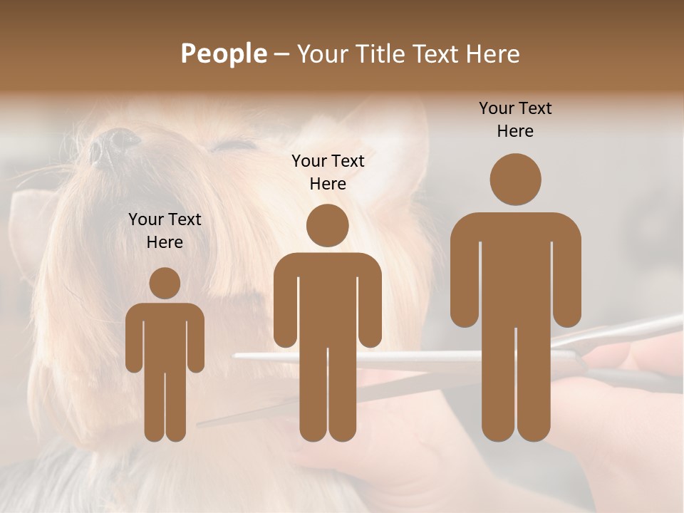 A Person Cutting A Dog's Hair With A Pair Of Scissors PowerPoint Template