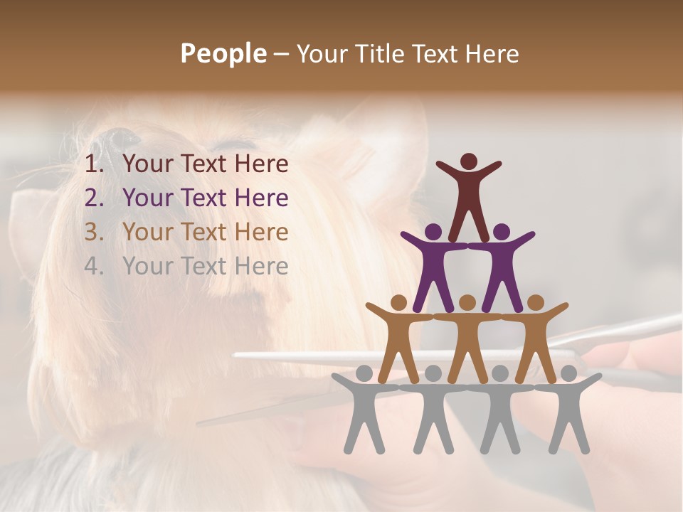 A Person Cutting A Dog's Hair With A Pair Of Scissors PowerPoint Template