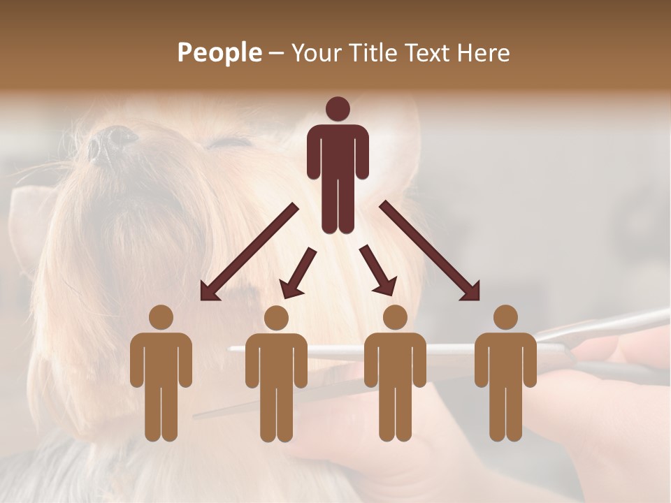 A Person Cutting A Dog's Hair With A Pair Of Scissors PowerPoint Template