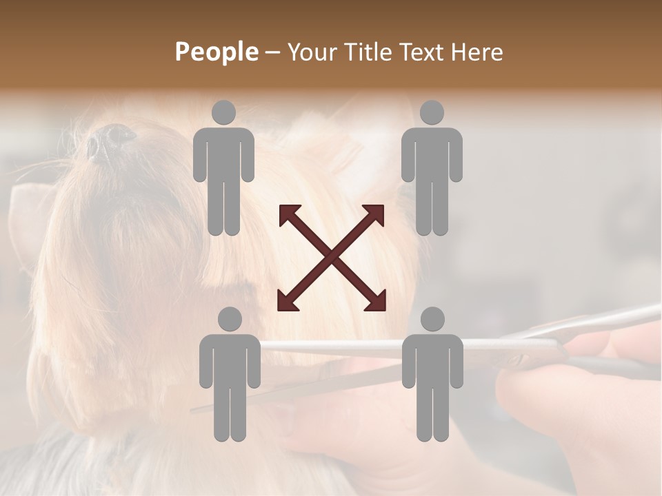 A Person Cutting A Dog's Hair With A Pair Of Scissors PowerPoint Template