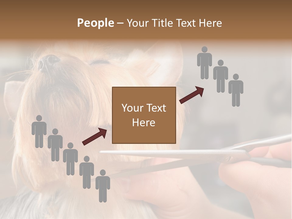A Person Cutting A Dog's Hair With A Pair Of Scissors PowerPoint Template