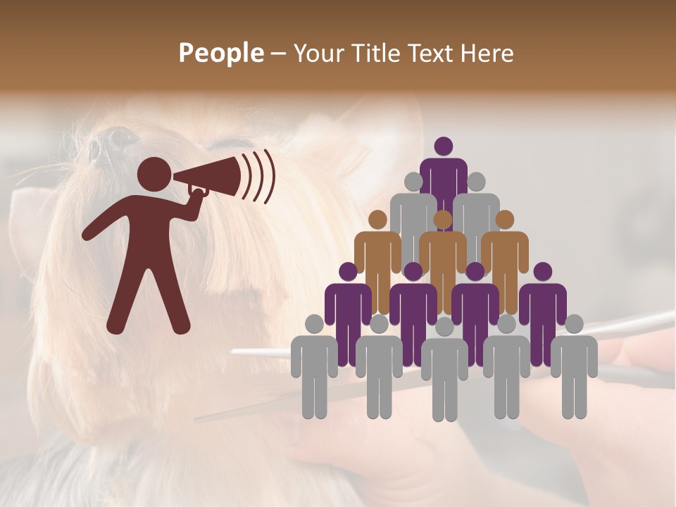 A Person Cutting A Dog's Hair With A Pair Of Scissors PowerPoint Template