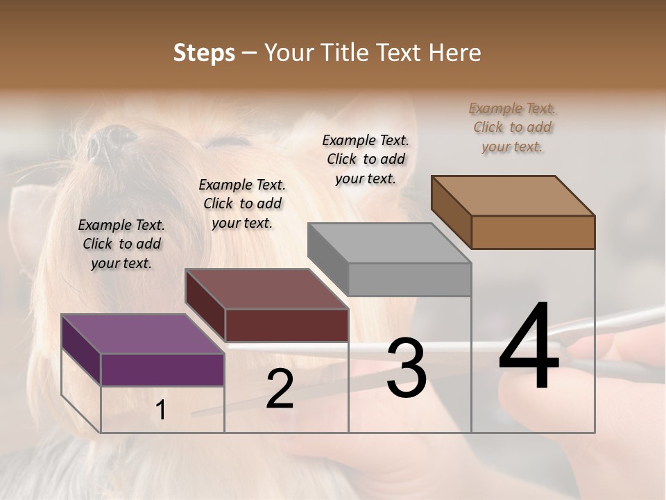 A Person Cutting A Dog's Hair With A Pair Of Scissors PowerPoint Template