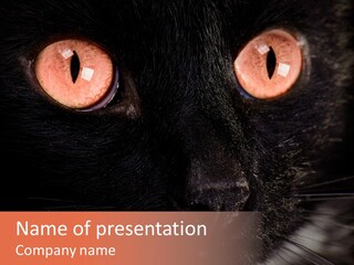 Macro Green Eyeball PowerPoint Template