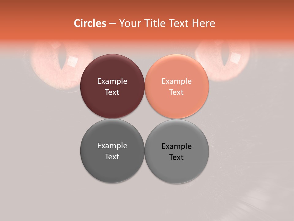 Macro Green Eyeball PowerPoint Template