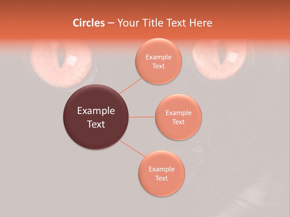 Macro Green Eyeball PowerPoint Template