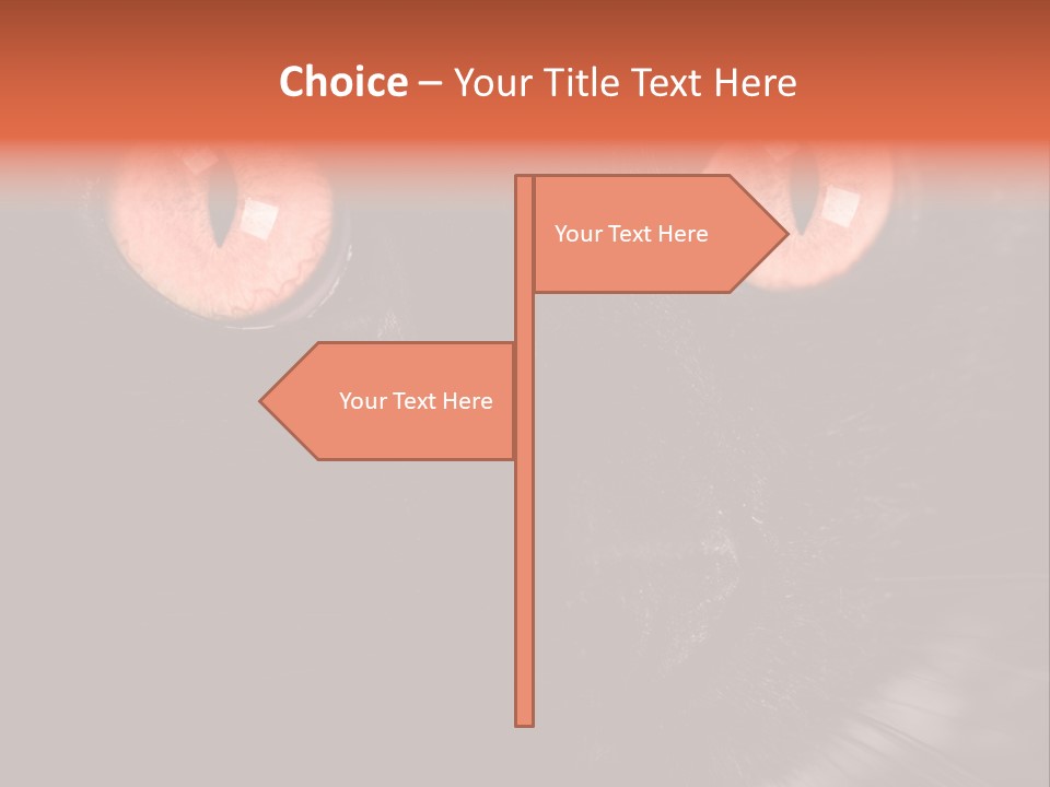 Macro Green Eyeball PowerPoint Template