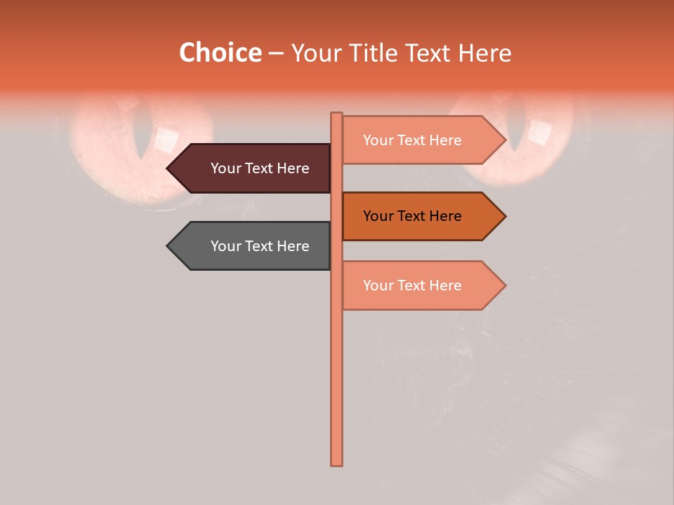 Macro Green Eyeball PowerPoint Template