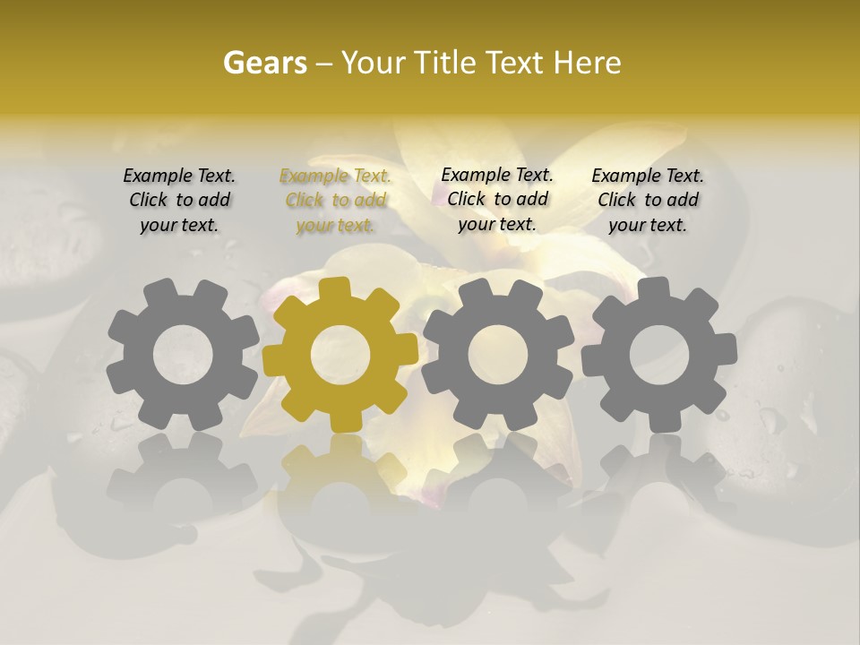 A Yellow Flower Sitting On Top Of Black Rocks PowerPoint Template