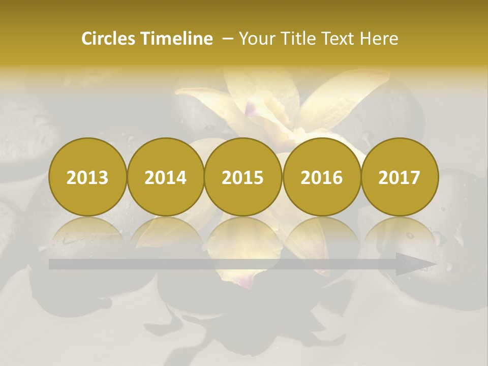 A Yellow Flower Sitting On Top Of Black Rocks PowerPoint Template