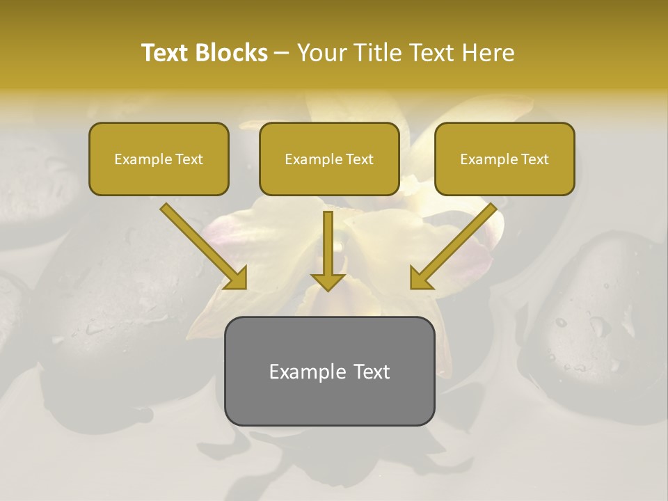 A Yellow Flower Sitting On Top Of Black Rocks PowerPoint Template