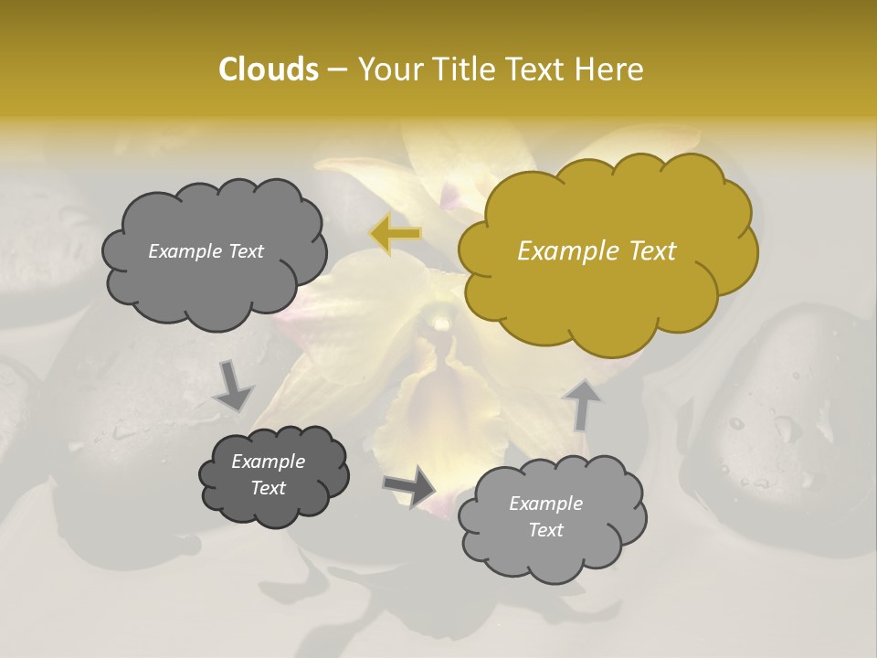 A Yellow Flower Sitting On Top Of Black Rocks PowerPoint Template